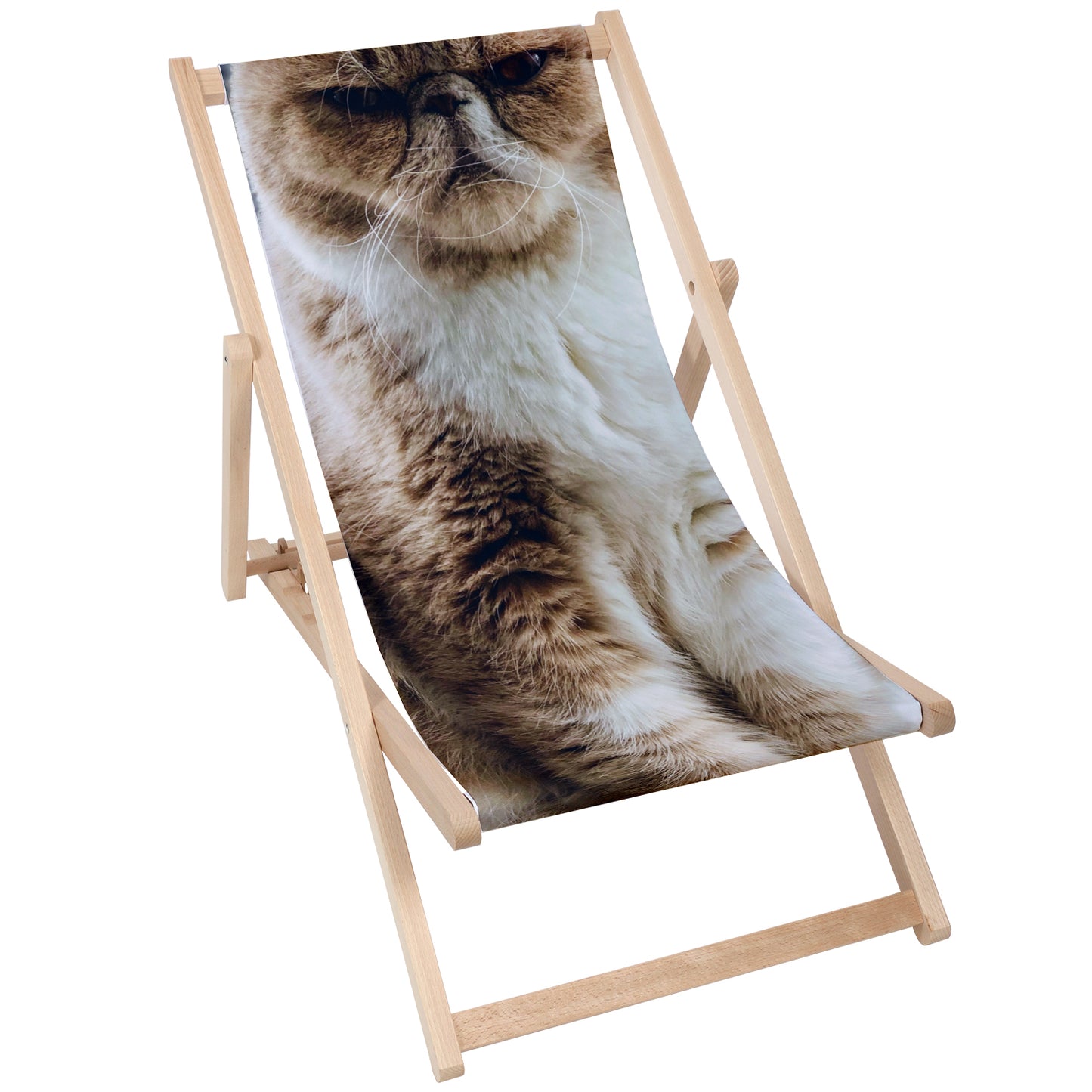 Holz Liegestuhl Bad Cat