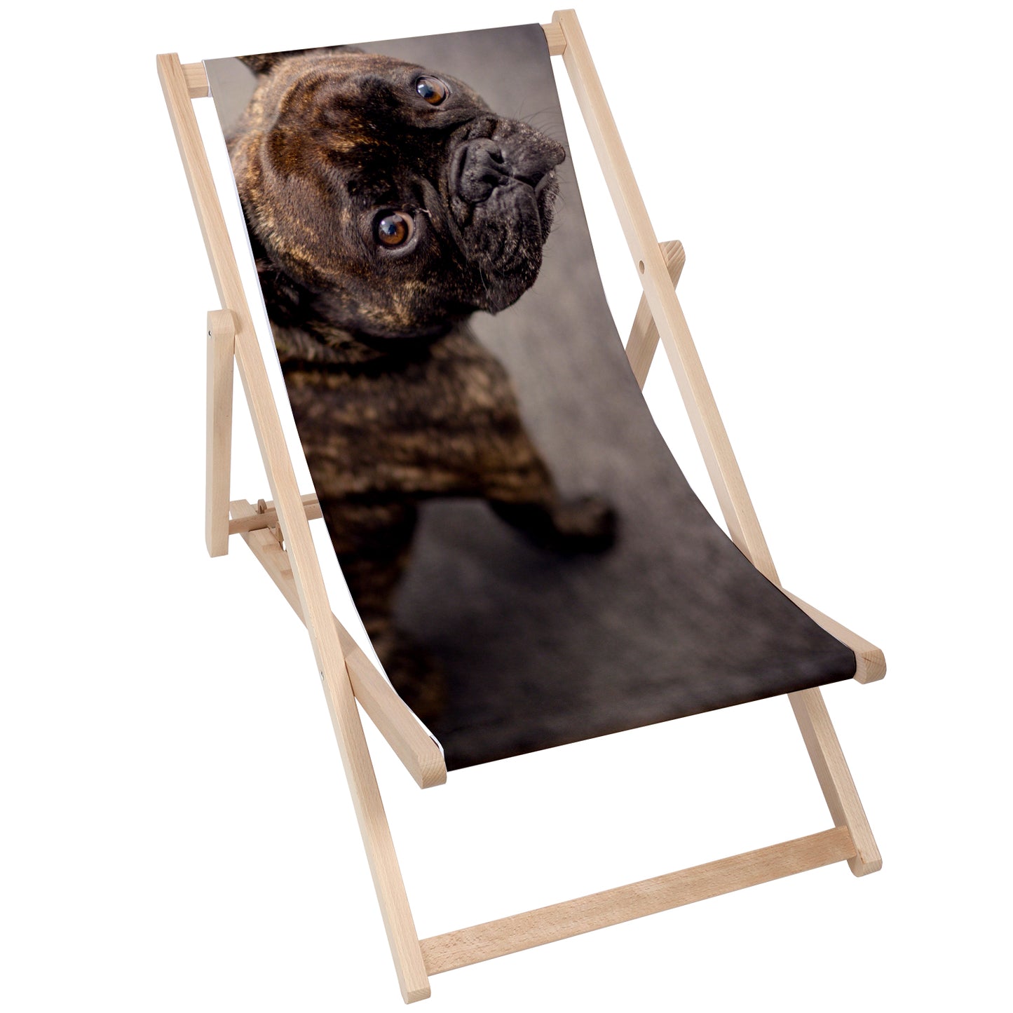Holz Liegestuhl Brown Dog