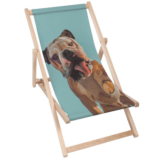 Holz Liegestuhl Buldog Selfie