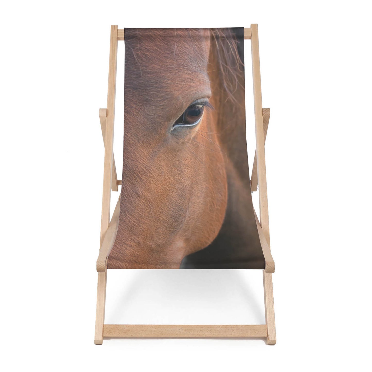 Holz Liegestuhl Horse Closeup